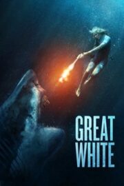 Beyaz Köpekbalığı – Great White