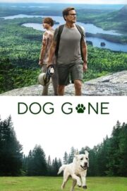 Kayıp Köpek – Dog Gone